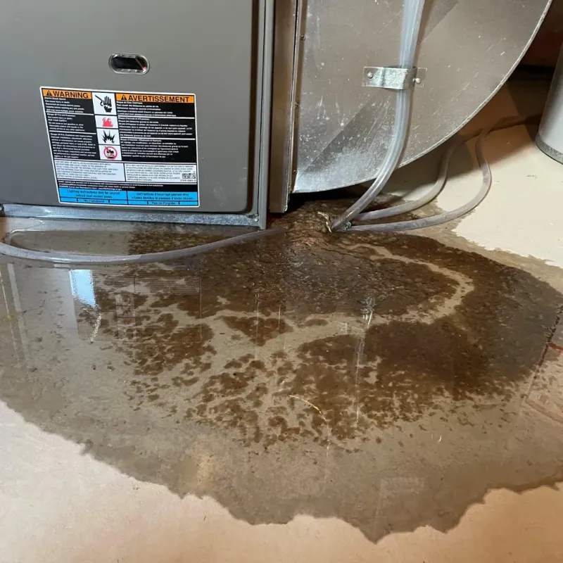 Appliance Leak Cleanup in Aurora, IN